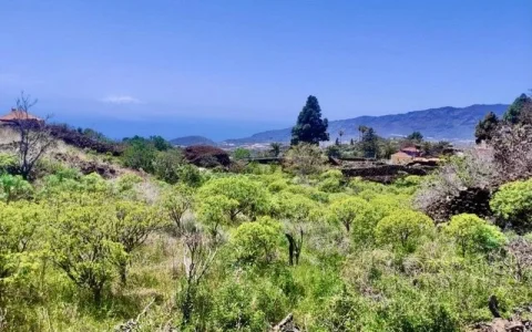 Baugrundstück mit Meerblick in bevorzugter Wohnlage von El Paso auf La Palma (1)