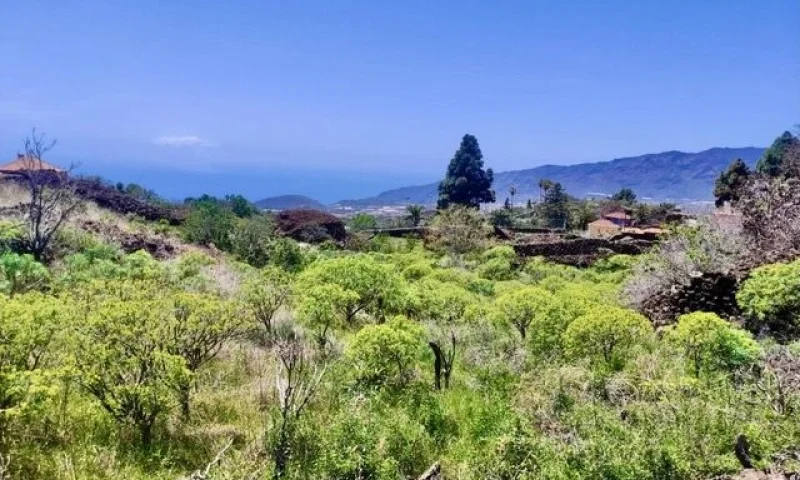 Baugrundstück mit Meerblick in bevorzugter Wohnlage von El Paso