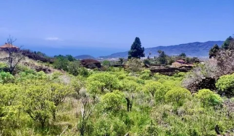 Baugrundstück mit Meerblick in bevorzugter Wohnlage von El Paso auf La Palma (1)