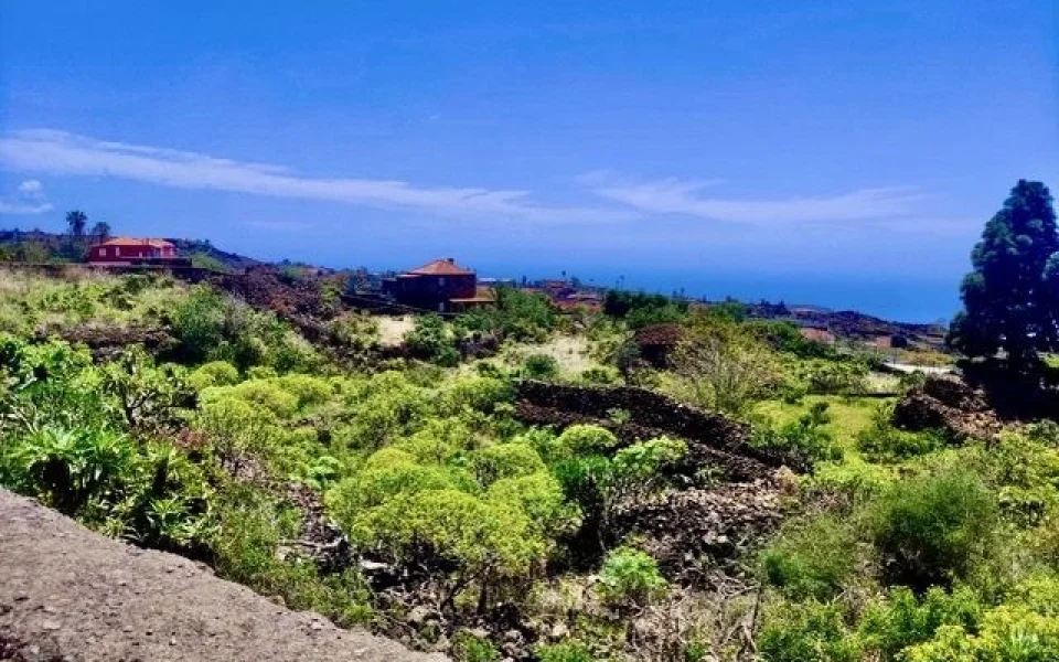 Baugrundstück mit Meerblick in bevorzugter Wohnlage von El Paso auf La Palma (4)