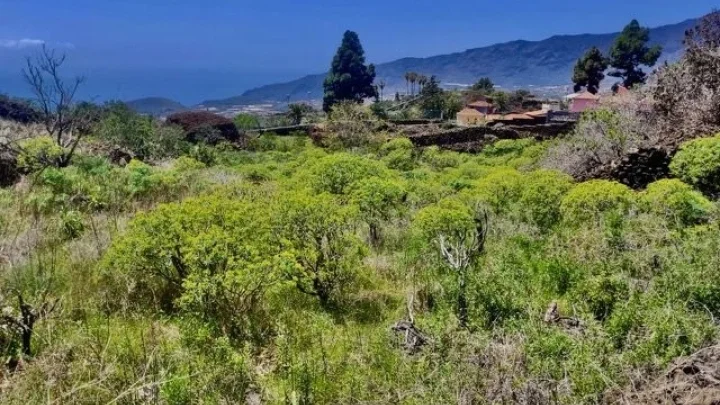 Baugrundstück mit Meerblick in bevorzugter Wohnlage von El Paso