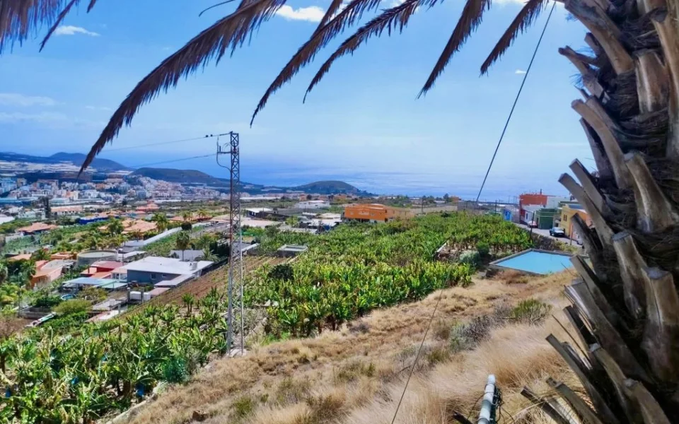 Grundstück mit Baugenehmigung und Atlantikblick in Los Barros auf La Palma (1)