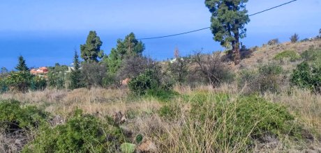 grundstueck-tourismuspotenzial-tijarafe-la-palma (1)