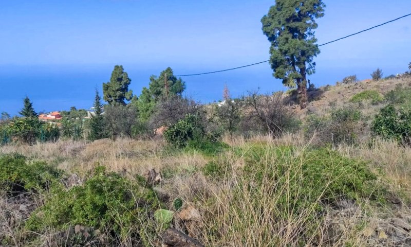 Grundstück mit Wasserbecken und Tourismuspotenzial in Tijarafe
