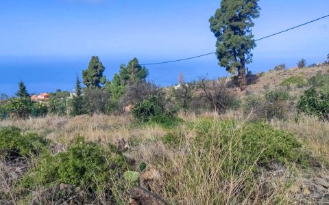 grundstueck-tourismuspotenzial-tijarafe-la-palma (1)
