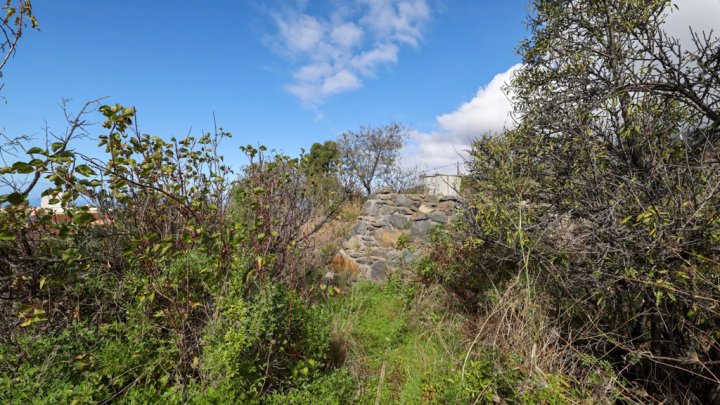 Grundstück mit Wasserbecken und Tourismuspotenzial in Tijarafe