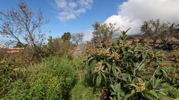Grundstück mit Wasserbecken und Tourismuspotenzial in Tijarafe