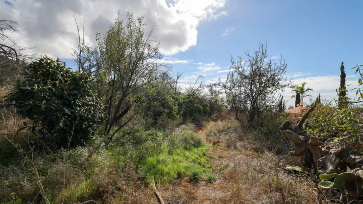 Grundstück mit Wasserbecken und Tourismuspotenzial in Tijarafe
