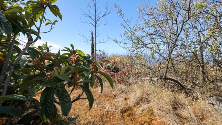Grundstück mit Wasserbecken und Tourismuspotenzial in Tijarafe