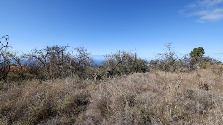 Grundstück mit Wasserbecken und Tourismuspotenzial in Tijarafe