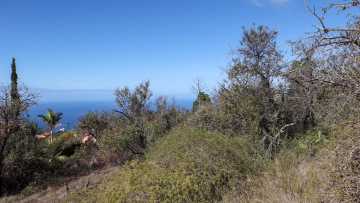 Grundstück mit Wasserbecken und Tourismuspotenzial in Tijarafe