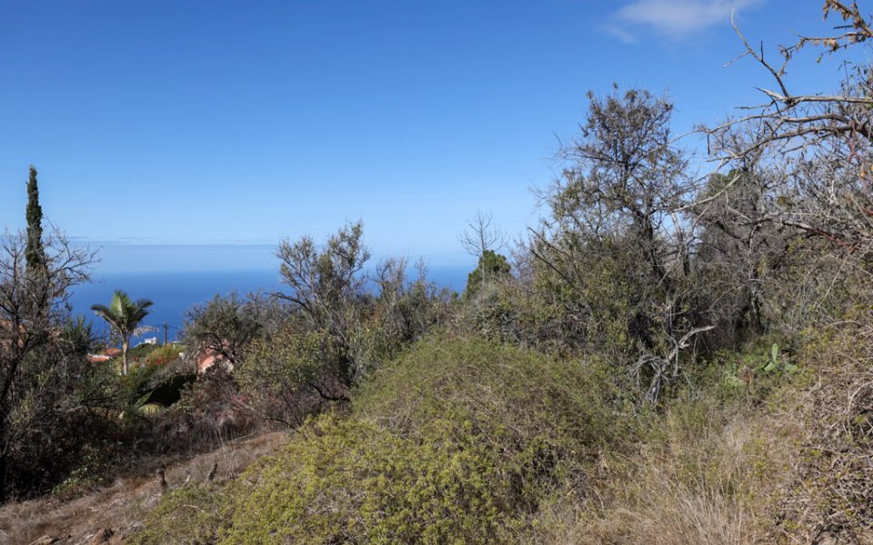 grundstueck-tourismuspotenzial-tijarafe-la-palma (2)
