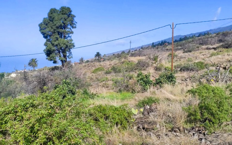 grundstueck-tourismuspotenzial-tijarafe-la-palma (3)
