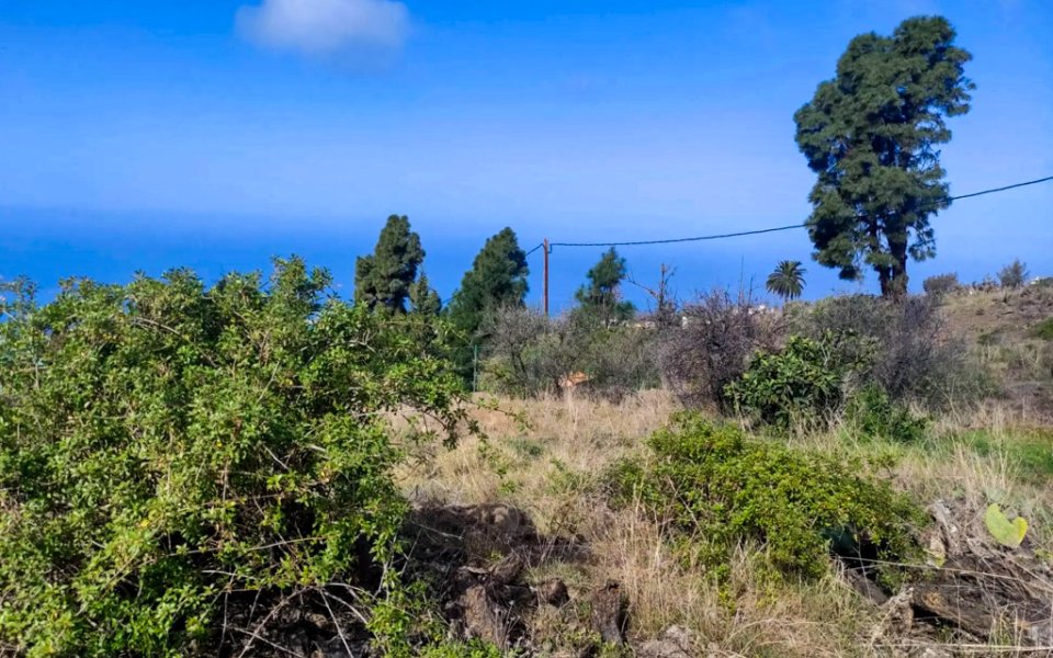 grundstueck-tourismuspotenzial-tijarafe-la-palma (4)