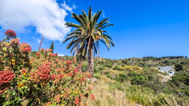 Premium Plot in La Punta with Water and Electricity Supply