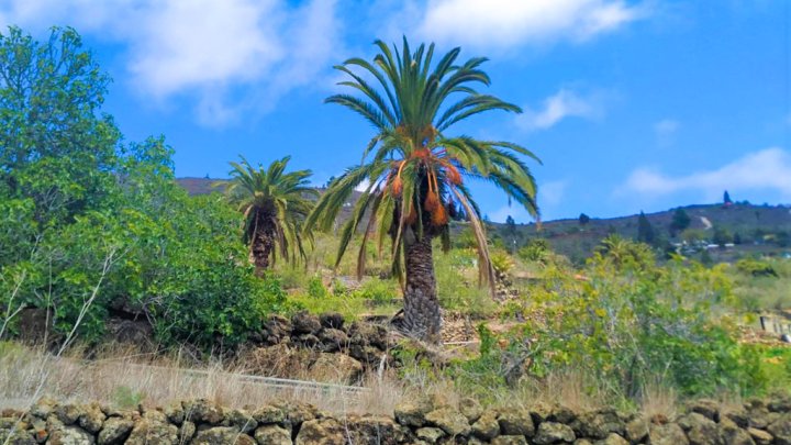 Premium Plot in La Punta with Water and Electricity Supply