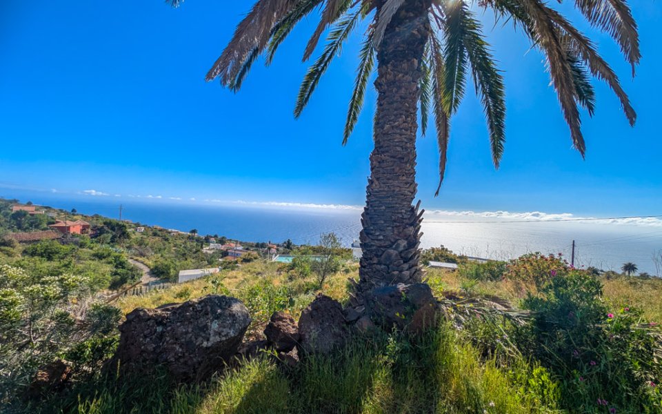 grundstueck-atlantikblick-la-punta-la-palma (2)