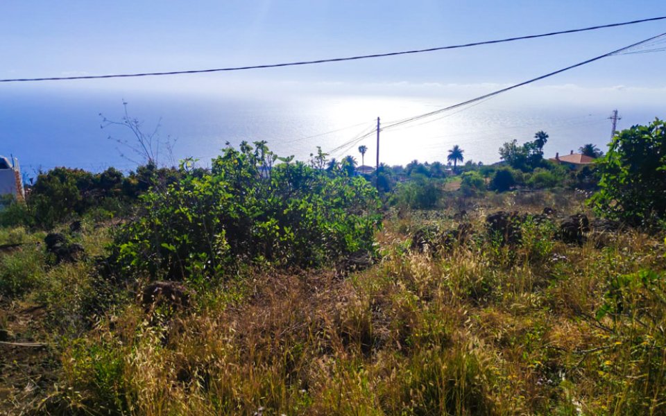 grundstueck-atlantikblick-la-punta-la-palma (3)
