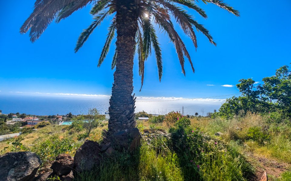 grundstueck-atlantikblick-la-punta-la-palma (4)
