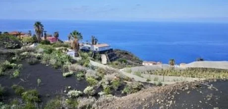 grundstuecke-sonnige-hoehenlage-puerto-naos-la-palma (1)