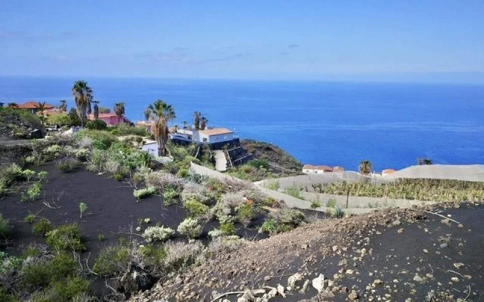 grundstuecke-sonnige-hoehenlage-puerto-naos-la-palma (2)