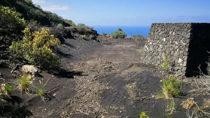 Zwei Grundstücke in sonniger Höhenlage oberhalb von Puerto Naos