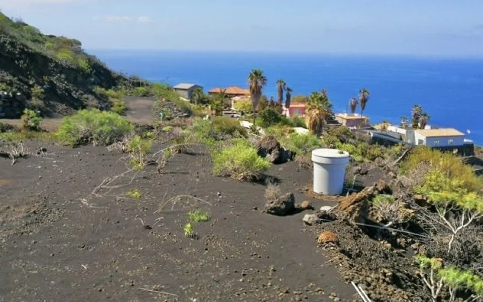 grundstuecke-sonnige-hoehenlage-puerto-naos-la-palma (8)