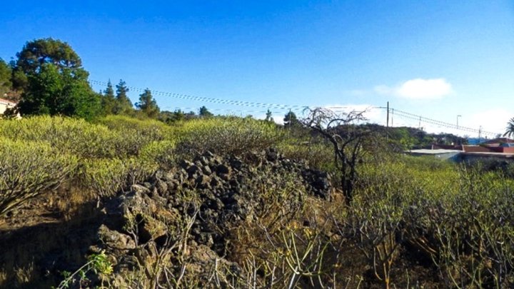 Spacious Nature Plot in Tacande, El Paso