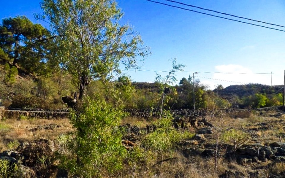 naturgrundstueck-tacande-el-paso-la-palma (3)