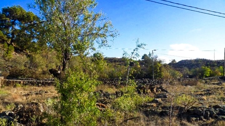 Spacious Nature Plot in Tacande, El Paso