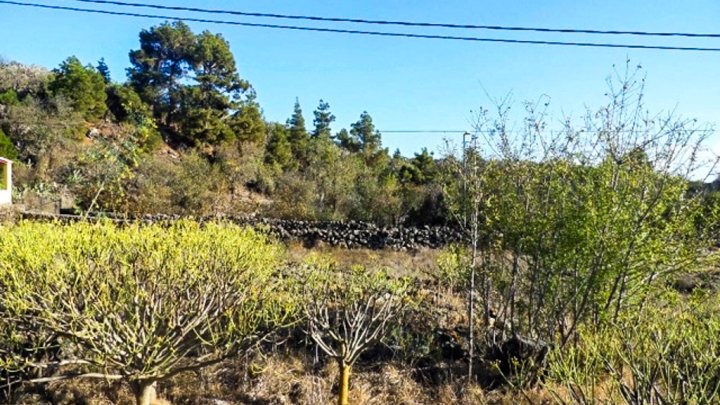 Spacious Nature Plot in Tacande, El Paso